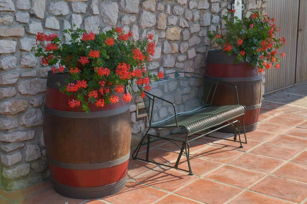 Agriturismo Kogoj Medea Bagian luar foto